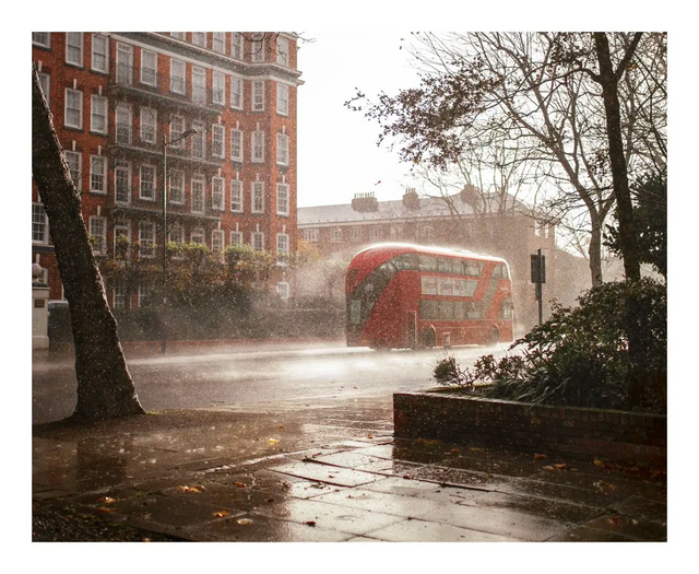 A red London bus on a rain-soaked street